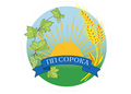 FOP Soroka Igor Fedorovich